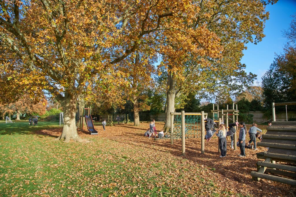 Working with Us Rose Hill School